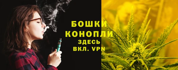 амф Аркадак
