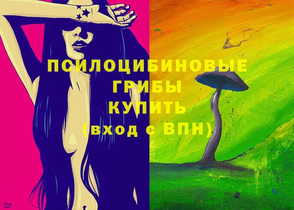 амф Аркадак