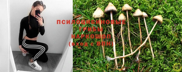мяу мяу мука Пересвет