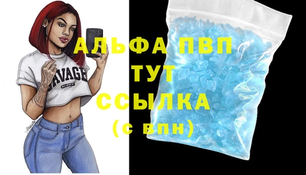 амф Аркадак